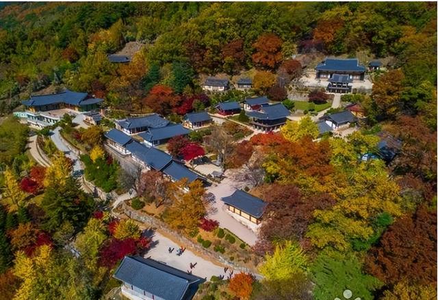 韩国庆州佛国寺，习唐宋茶礼传承，五味子茶承载中韩地缘文化联结