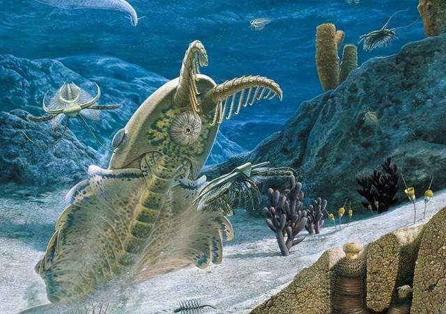 地球曾变成巨型冰球？寒武纪生命大爆发，揭露亿万年前的绝境翻盘