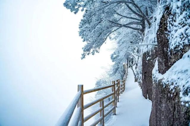 颜值暴击！好期待明月山下雪呀~