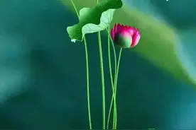 江湖不是尔虞我诈，江湖是人情世故图片