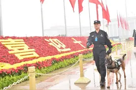 人民公安从这里走来｜北京警犬技术70年：变与不变图片