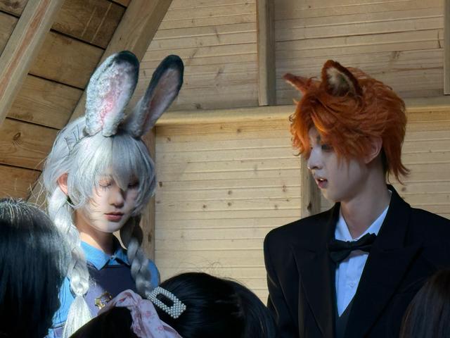 云台山冰挂亮肌