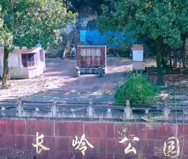岳阳云溪区一日游十大必去旅游景点