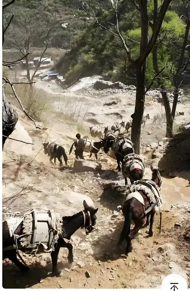 留在古道的蹄印【上】——西双版纳古六大茶山新探之一 (五)