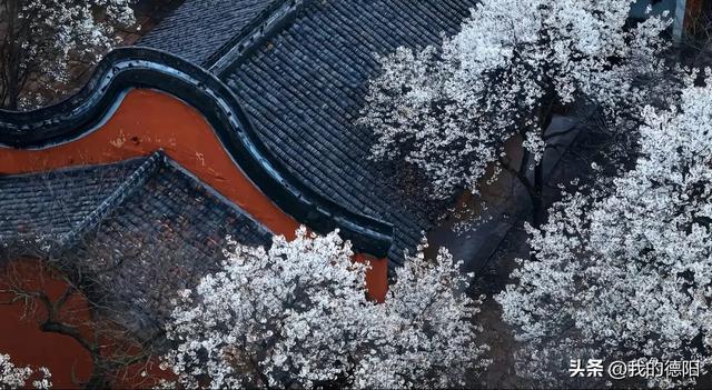 德阳这里彻底火了!周末好多人都往这里跑!