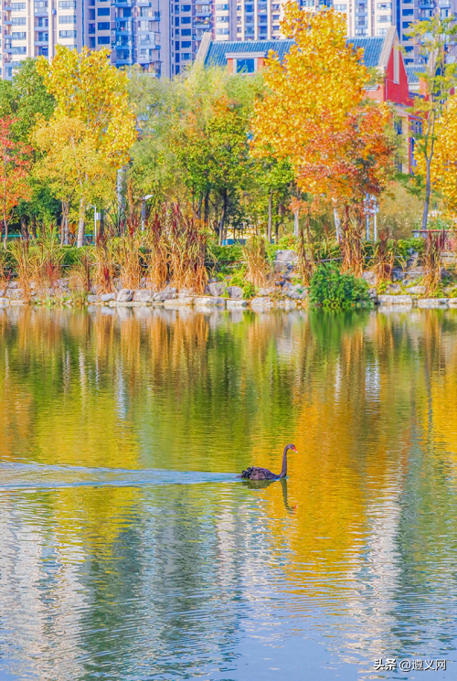 悦·遵义│赛场之外，解锁新蒲“放松+打卡+美食”三重快乐