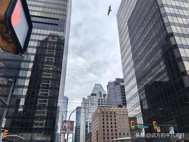 温哥华游记（三）