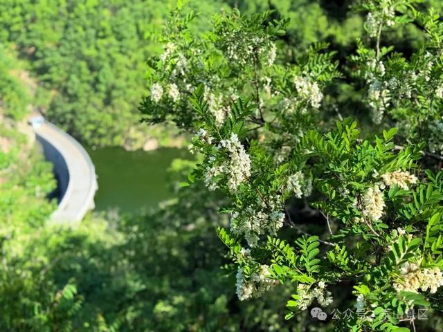 泰山中天门：春末夏初的绮梦之境