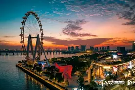 实施一周年！深圳这一“特区中的特区”成绩单亮眼图片