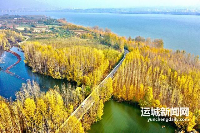 运城秋日的N种浪漫