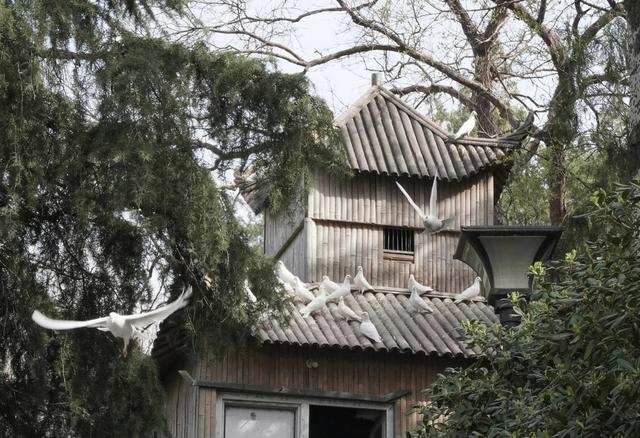 这座被火车拉来的中原第一省会，比你想象的要好玩多了