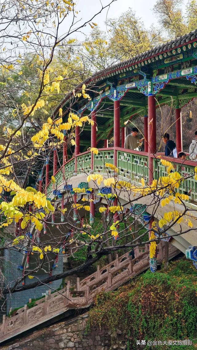 秋染五泉山：兰州城畔的千年诗意与一季斑斓​​