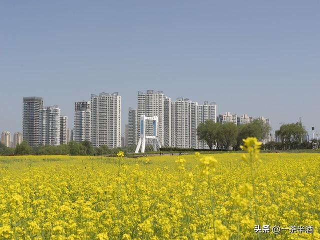 自驾营地：山东临沂市境内免费自驾露营地停车场主要景点特色美食