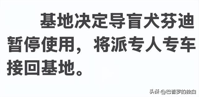 爬泰山的作死夫妻被制裁！导盲犬被收回，身份被扒，家里还有一只