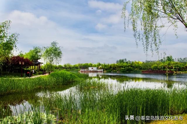统统免费！秦皇岛家门口的这些好去处，千万别错过！