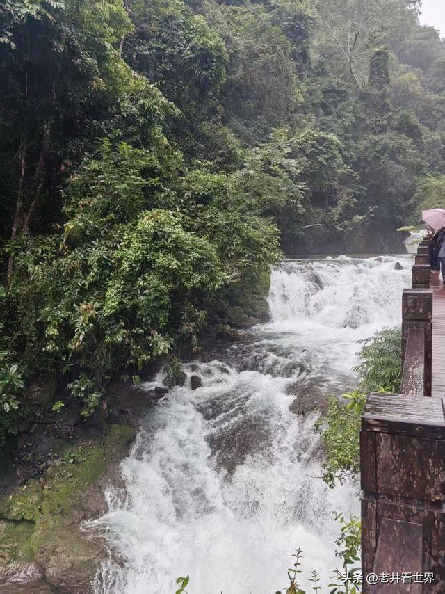七孔映情 || 井明新