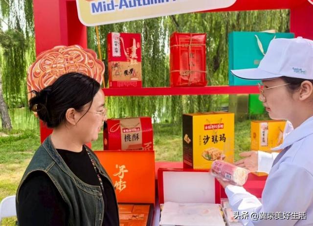 石家庄市青年志愿者在服务第九届河北省旅发大会中续写青春篇章​