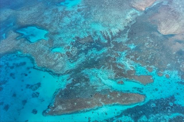 中菲仙宾礁对峙，局面变成1：3！高市振臂一呼	，自卫队介入南海？