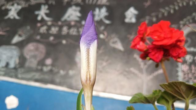 九月份刚开学，一年级班主任如何给家长开好家长会