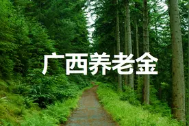 广西企业养老金的计算图片