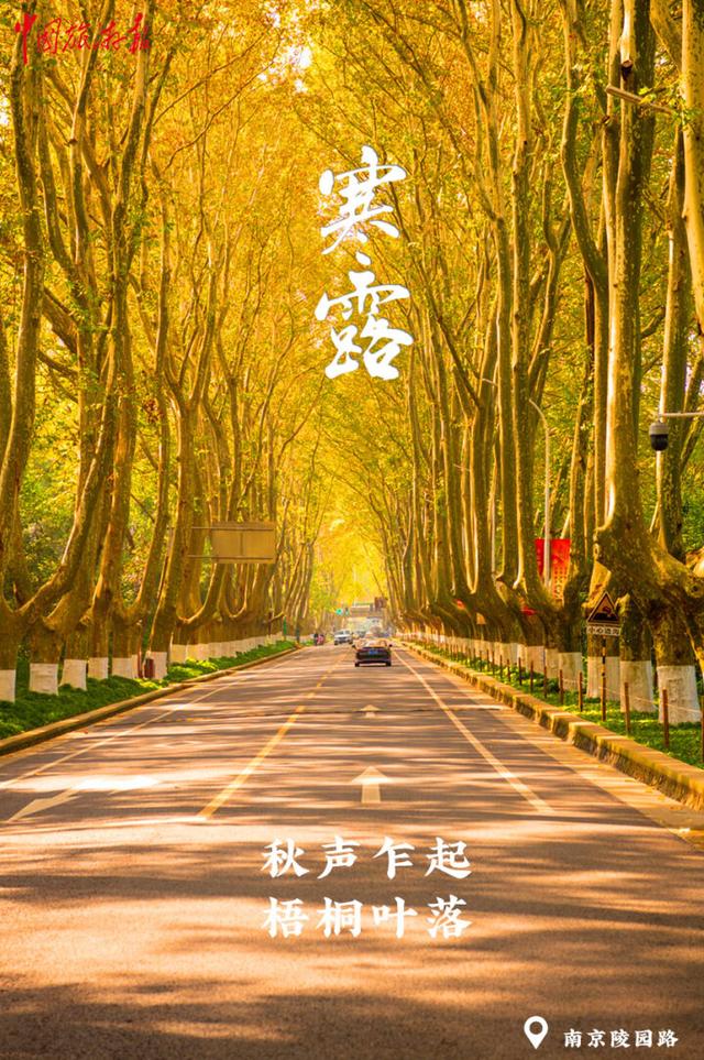 寒露｜假期收官 秋色正酣 奔赴下一场诗与远方