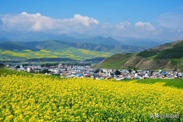 青海门源万亩油菜花海：登上四个观景点，各有风情入画来！