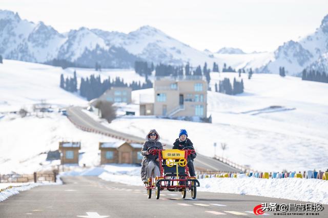 视觉·昌吉 | 银装素裹江布拉克 雪映松林绘冬图