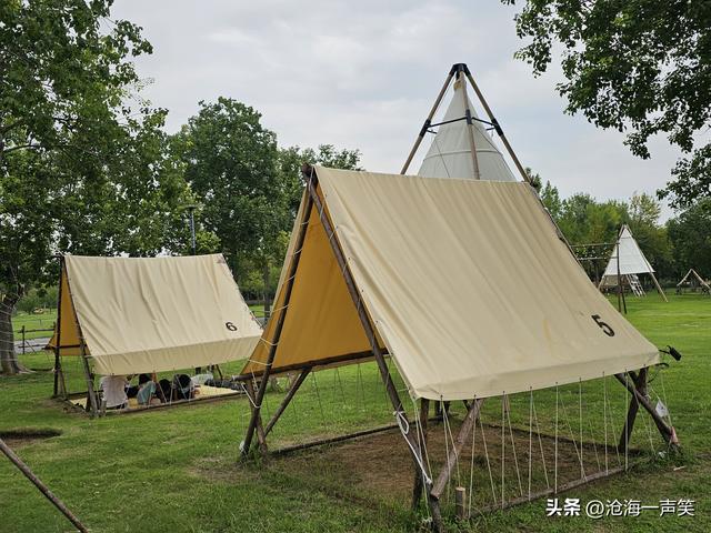 秋色依依，露营柔柔，微风习习，人生得意须尽欢，莫使金樽空对月
