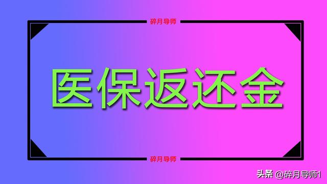 2025年退休，一次性补缴3.1万医保，为什么医保返款还不足100元？