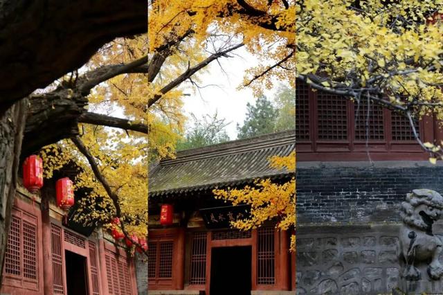 【文明旅游】太原：秋染晋祠｜当千年古建染上斑斓秋色