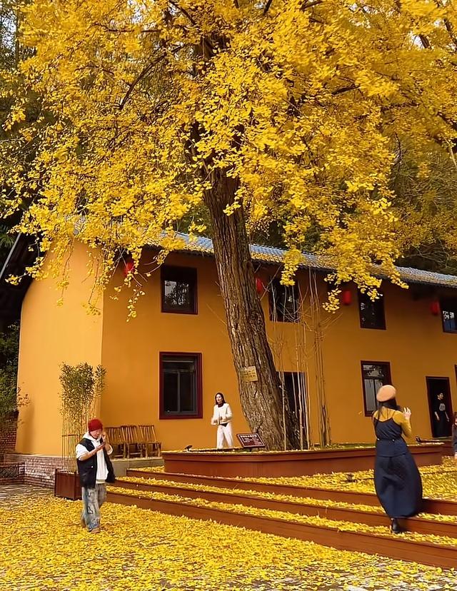 入冬前·第一次接触甜品