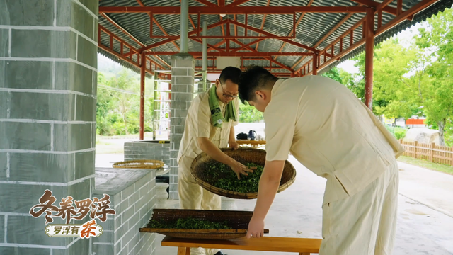 “冬养罗浮”康养品牌发布！在引领区过冬是怎样一种体验？