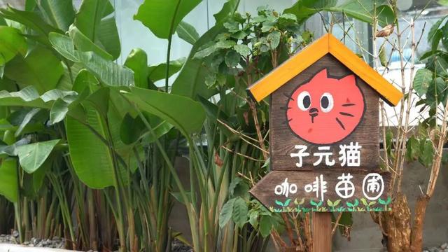 思茅打卡全攻略！这些宝藏点位 茶咖食宿玩一站式承包 | 有一种叫云南的生活