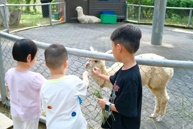 常熟尚湖飞熊乐园，一处藏在江南的梦幻岛，是假日遛娃的好去处