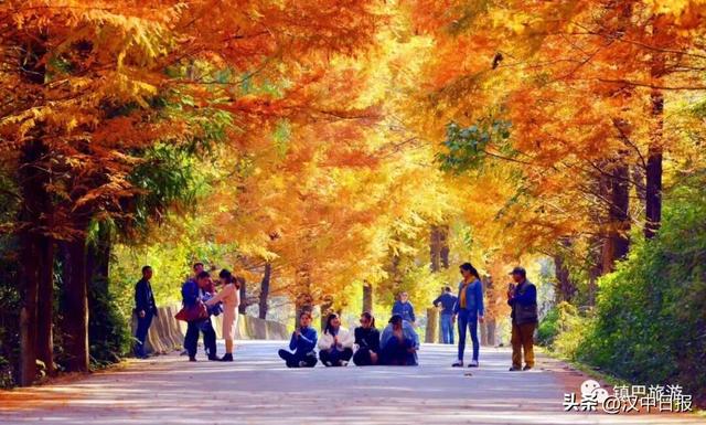 秋色浓度超标！汉中这座小城值得奔赴！