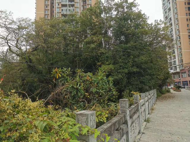 遵义新蒲：清乘桥头“临江寺”