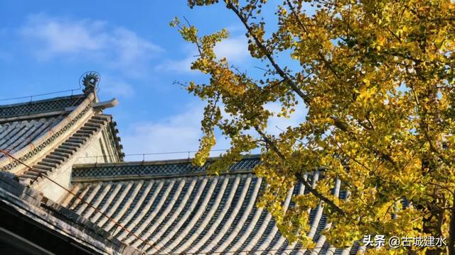 初冬雅韵:临安府署银杏换新妆