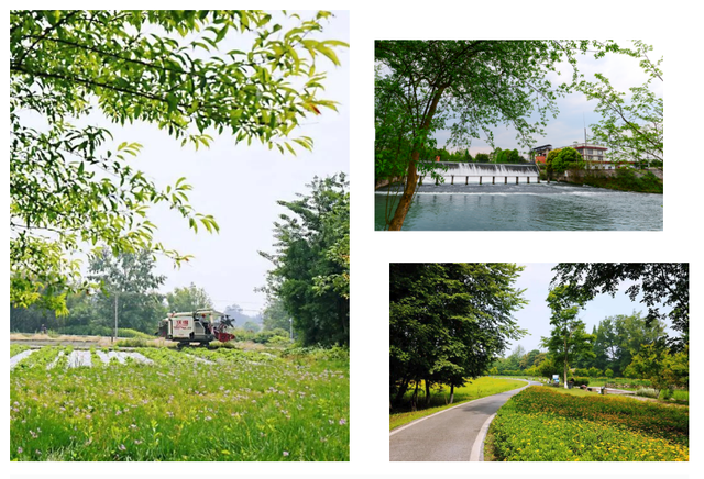 9000亩串联成片！郫都宝藏公园藏不住了→