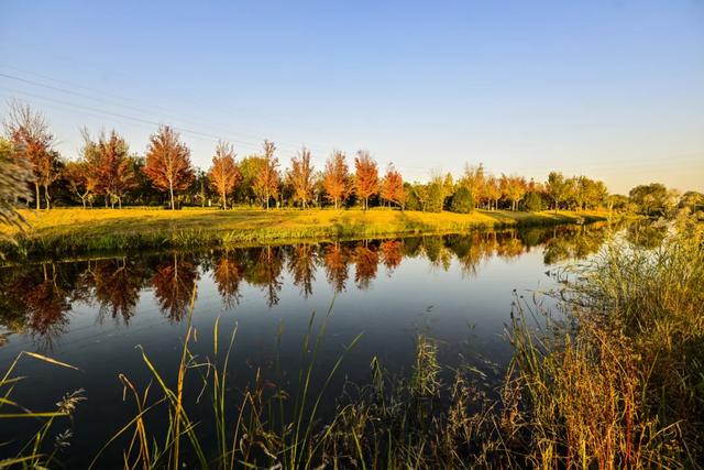 藏不住了！北京通州这条4.4公里“红叶大道”，美到封神~