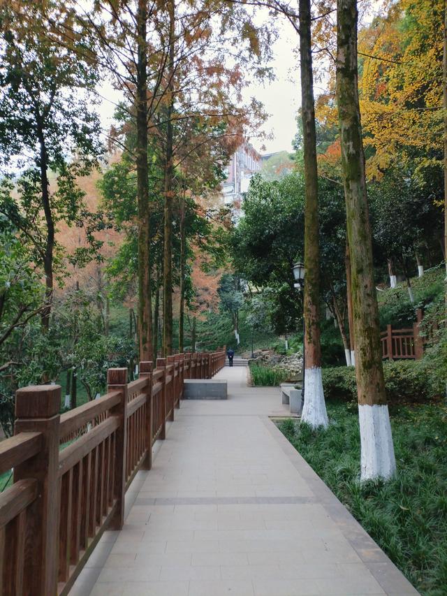 盘溪河的冬，藏着山城最温柔的秋意