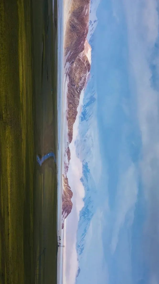 极地那曲不仅美在雪山湖泊，更美在每一棵生机盎然的树