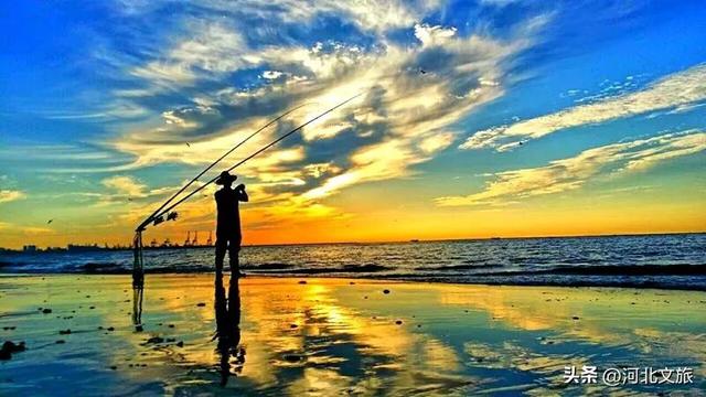 向海而歌,来秦皇岛凭依栈道、看海听涛,与海浪鸥鸟美好时光!