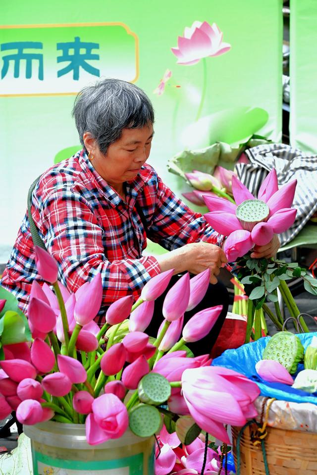 姑苏荷香漫古街