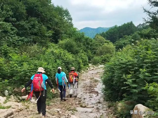 本溪小芹沟—五顶山—大西沟穿越,夏练三伏