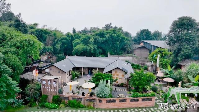 走起，这个小院出圈又出片！