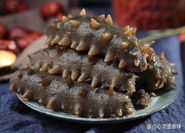 中国十大海参品牌 2026年中国十大海参品牌官网