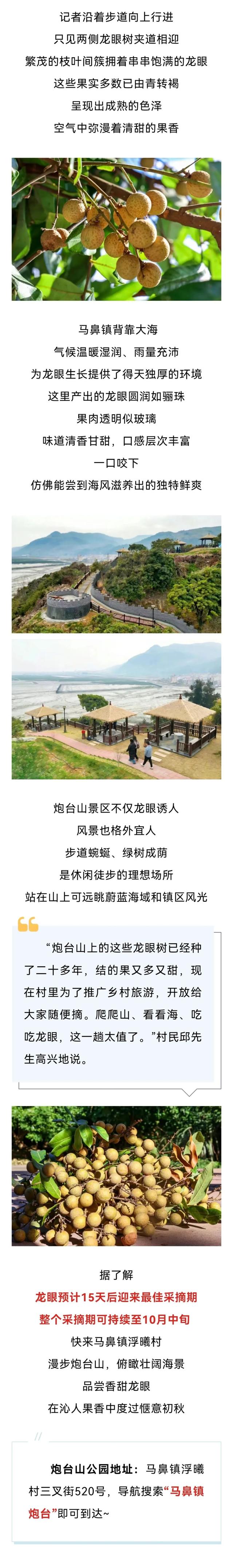 免费吃龙眼！就在福州这个公园！
