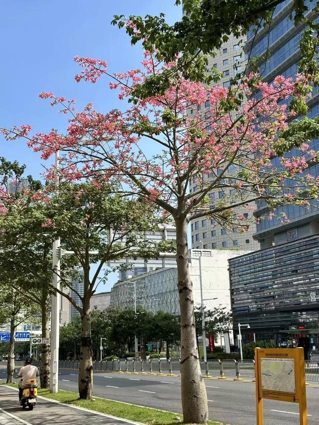 10月，「需要另一个同类」