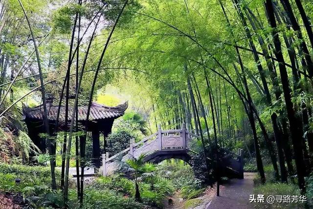 隐没在竹海深处，静享独处时光