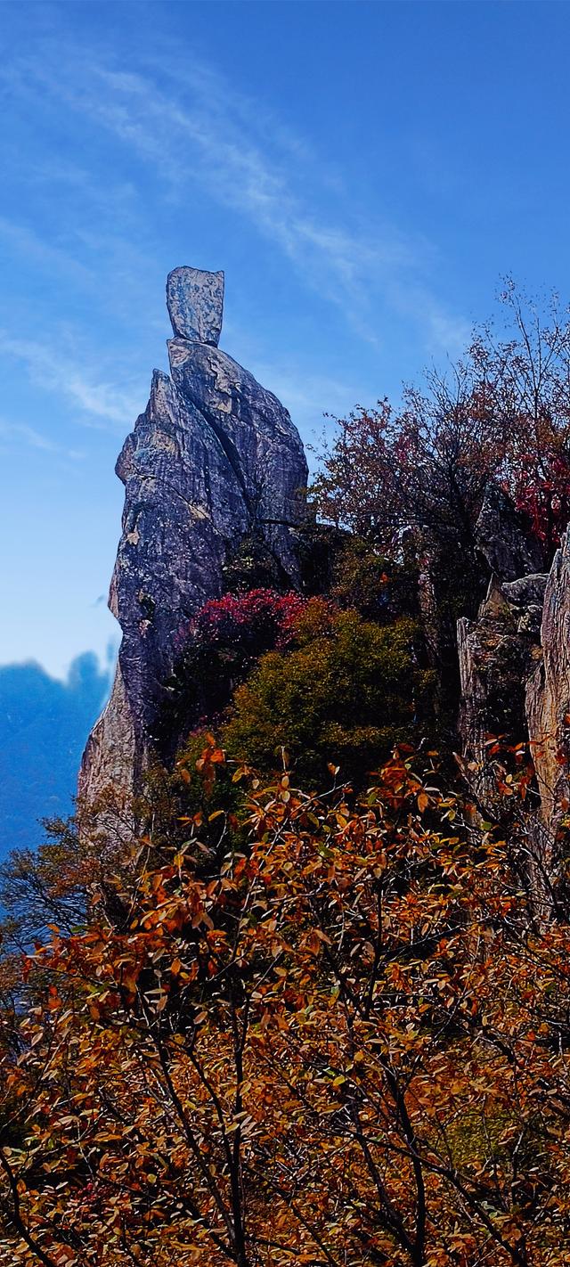最爱秋意行不足 再上翠华赏秋色